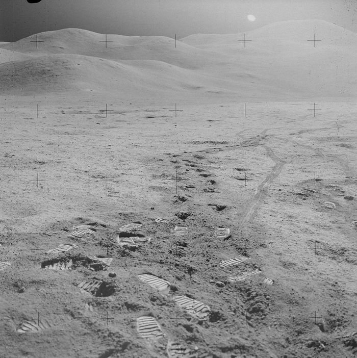 Sinh vật từ Trái Đất có thể đã được mang đến Mặt Trăng (Nguồn: NASA)