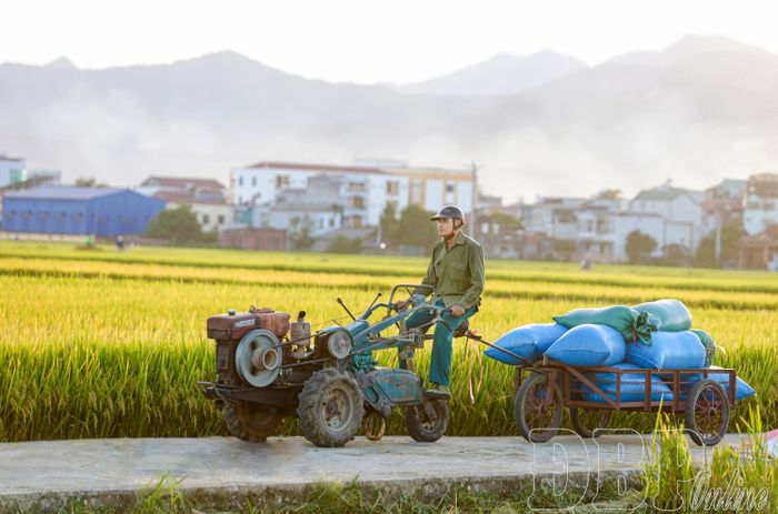 Sử dụng máy móc tiết kiệm công sức, thời gian của người dân.