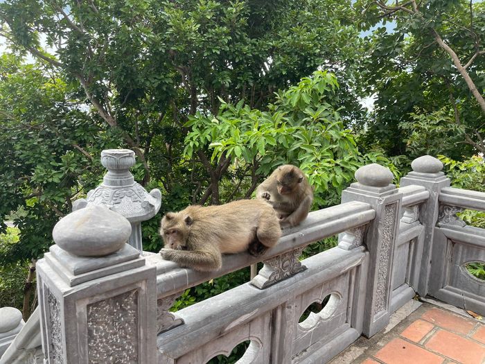 Tận dụng ưu thế về rừng nguyên sinh, hệ sinh thái đa dạng để phát triển du lịch sinh thái, du lịch cộng đồng.