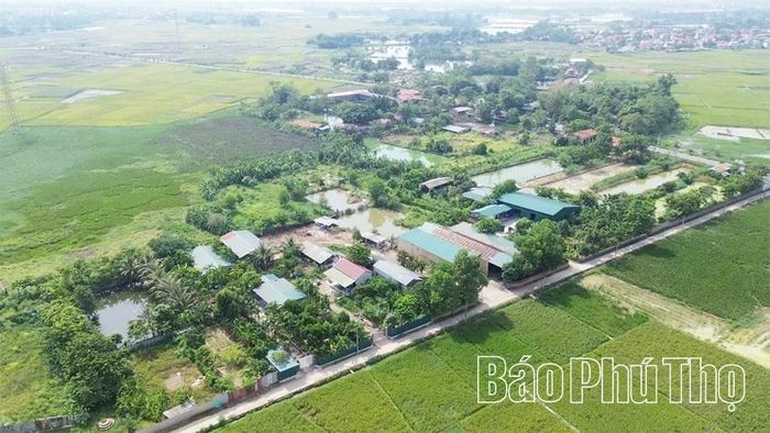 Hầu hết các trường hợp vi phạm pháp luật về đất đai trên địa bàn xã Vĩnh An đều xảy ra từ thời điểm trước khi sáp nhập