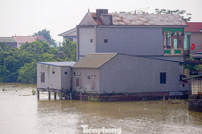  Sau ảnh hưởng cơn bão số 11, mực nước sông tiếp tục ở mức cao, gây ngập lụt vùng trũng thấp, bãi nổi, ven sông với độ sâu ngập 0,2-0,5 m, có nơi trên 0,5 m. 