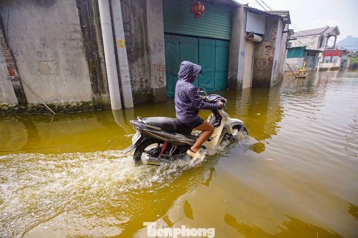  Giao thông khu vực gần sông gần như tê liệt. 