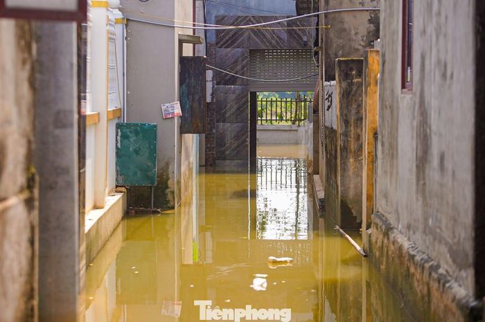  Hàng loạt nhà dân khu vực ven sông tại xã Trần Phú hiện đang bị cô lập, chìm trong nước. 
