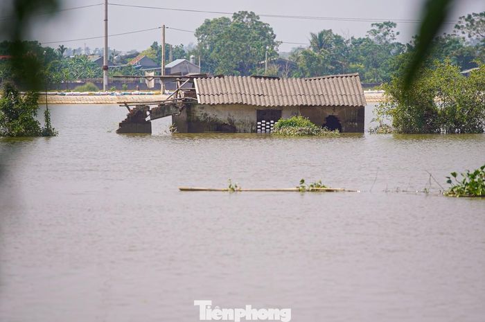  Nhiều đoạn nước đã tràn bờ, liên tục đổ vào đồng ruộng và khu dân cư. 