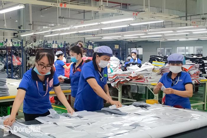 Công nhân Công ty TNHH New Apparel Far Eastern - Việt Nam (xã Đồng Phú, tỉnh Đồng Nai) trong giờ làm việc. Ảnh: Nguyễn Hòa