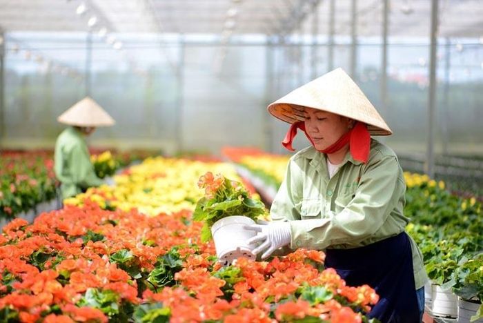 Nông nghiệp tuần hoàn đang trở thành chiến lược phát triển bền vững tại Lâm Đồng