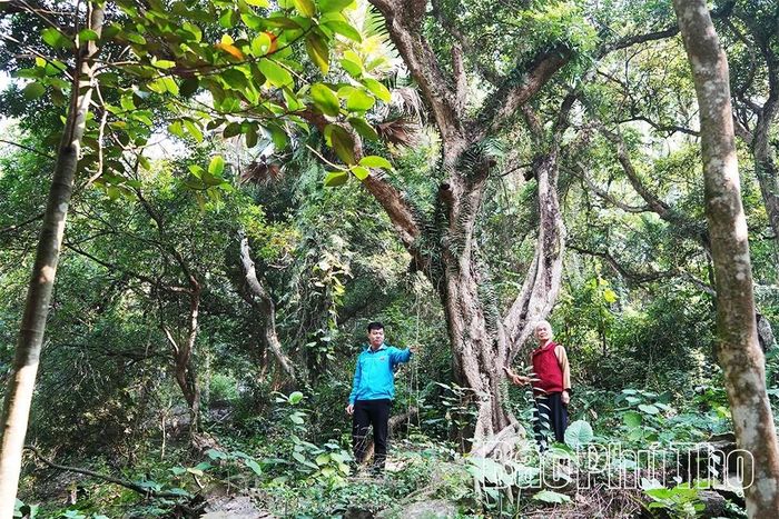 Bà Vũ Thị Khiêm, xã Hải Lựu là 1 trong 25 điển hình tiêu biểu toàn quốc trong học tập và làm theo tư tưởng, đạo đức, phong cách Hồ Chí Minh năm 2024.