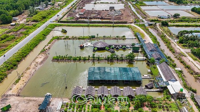 Điểm Du lịch sinh thái Vườn Nhà Tôm (Ấp 12, xã Vĩnh Hậu).