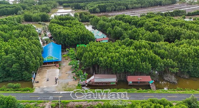 Điểm Du lịch sinh thái cộng đồng Bình Minh (xã Đất Mũi) mang đến trải nghiệm thú vị với dịch vụ ăn uống trên ghe, thuyền.