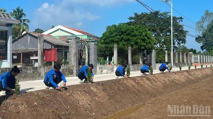  Trồng cây xanh dọc tuyến đường nông thôn ở phường Sơn Qui. 