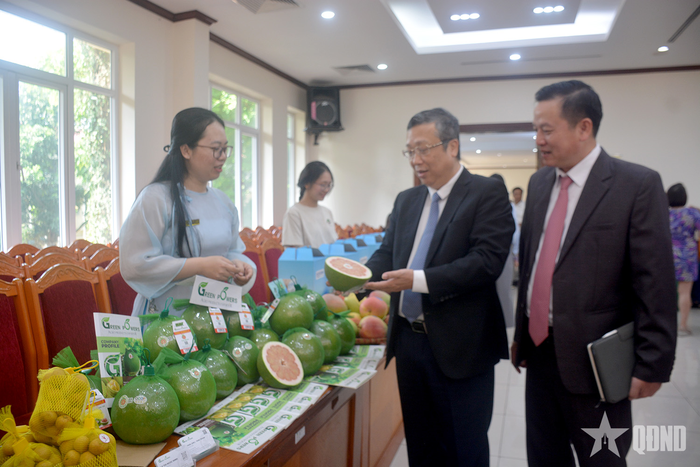 Thứ trưởng Bộ NN&amp;MT Hoàng Trung tham quan gian hàng trưng bày, giới thiệu bưởi tại buổi lễ. 