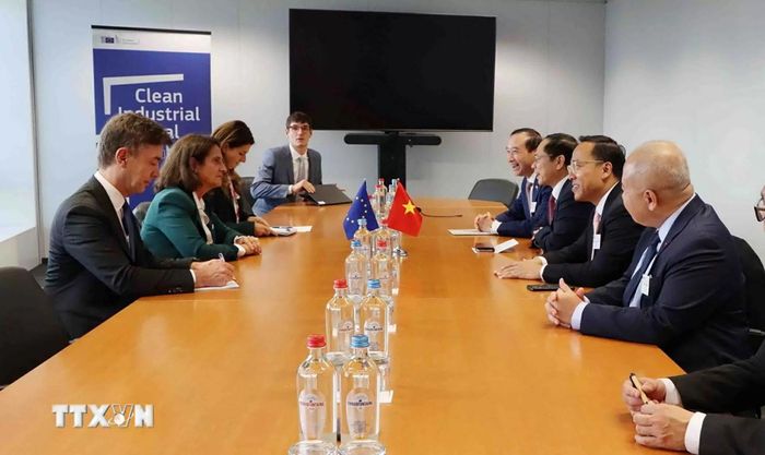 Quang cảnh cuộc làm việc giữa Phó Thủ tướng Bùi Thanh Sơn và bà Teresa Ribera, Phó Chủ tịch Thường trực EC, phụ trách chuyển đổi xanh, công bằng và cạnh tranh. (Nguồn: TTXVN)