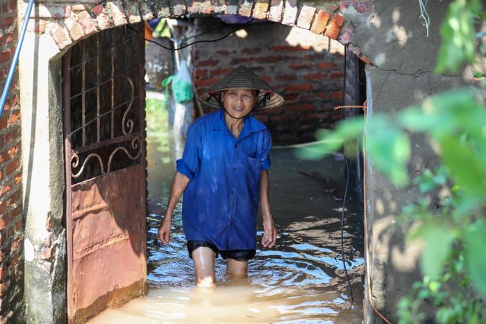 Gia đình bà Dự sống trong một ngôi nhà rất cũ, do bị ngâm nước lâu ngày, lớp vữa trên tường đã bở và rơi từng miếng. Bà Dự là người duy nhất còn sức lao động trong gia đình nên mọi việc từ bơm nước, dọn vệ sinh đều do cô đảm nhiệm. Bà chia sẻ:"Gia đình tôi khó khăn nhưng luôn được sự giúp đỡ từ bà con láng giềng, chính quyền địa phương quan tâm nên cuộc sống cũng bớt cơ cực phần nào...".