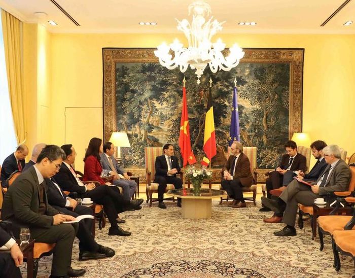 Phó Thủ tướng Bùi Thanh Sơn cảm ơn, đánh giá cao việc Hạ viện Bỉ là nghị viện nước ngoài đầu tiên thông qua Nghị quyết về hỗ trợ nạn nhân chất độc da cam Việt Nam