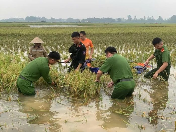  Chiến sĩ Công an Thủ đô cùng người dân thu hoạch lúa theo tiêu chí "xanh nhà hơn già đồng". Ảnh: TTXVN phát 