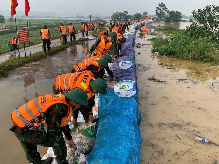  Cán bộ, chiến sĩ Sư đoàn 325 (Quân đoàn 12) giá cố đê các xã Hợp Thịnh, Tam Giang, Hoàng Vân, tỉnh Bắc Ninh. Ảnh: Danh Lam -TTXVN 