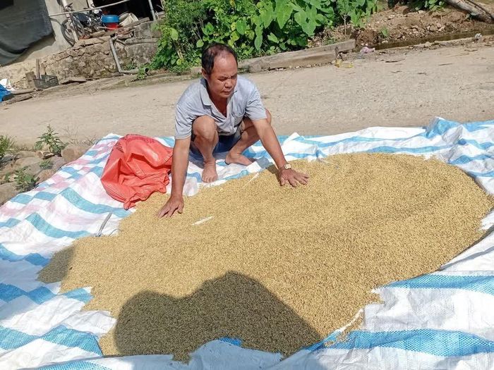  Sau khi xảy ra trận lũ quét, sạt lở đất, nhờ sự vào cuộc của UBND xã Sơn Điện, Thanh Hóa và nỗ lực của người dân trong khắc phục hậu quả thiên tai, đến nay đời sống của đồng bào vùng cao bản Xa Mang đã dần đi vào ổn định. Ảnh: Nguyễn Nam-TTXVN 
