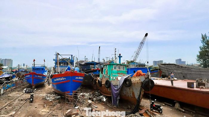  Từ thực tế trên, việc sớm chi trả hỗ trợ nhiên liệu và thống nhất chính sách giữa hai địa phương không chỉ giúp ngư dân yên tâm vươn khơi bám biển, mà còn tạo động lực phát triển nghề cá bền vững, góp phần giữ gìn chủ quyền thiêng liêng của Tổ quốc trên biển. 