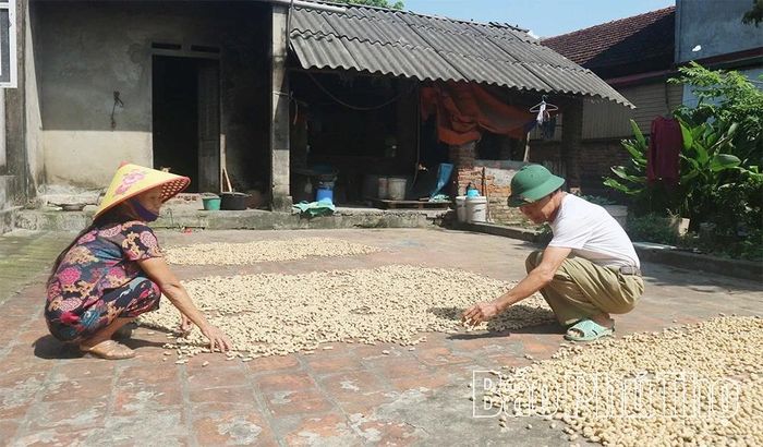 Vợ chồng bà Đào Thị Thoa và ông Hà Văn Tường ở khu Đình, xã Bình Phú thuộc diện hộ cận nghèo được trợ cấp hưu trí xã hội hằng tháng theo Nghị định 176 của Chính phủ.