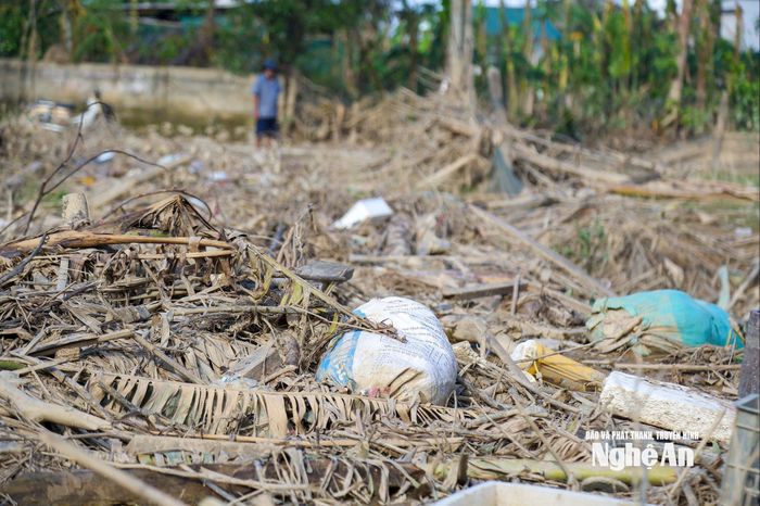 Rác ngổn ngang trên một số tuyến đường. Ảnh: Đình Tuyên
