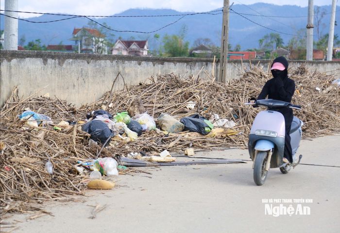Rác bốc mùi nồng nặc, ảnh hưởng nghiêm trọng đến môi trường. Ảnh: Đình Tuyên