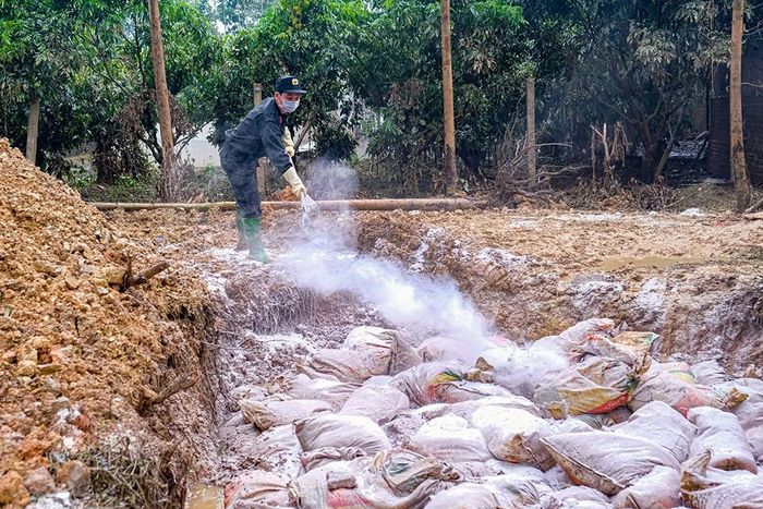 Xác gà được thu gom vào hố chôn, rắc vôi bột khử trùng nhằm hạn chế ảnh hưởng đến nguồn nước, vệ sinh môi trường.