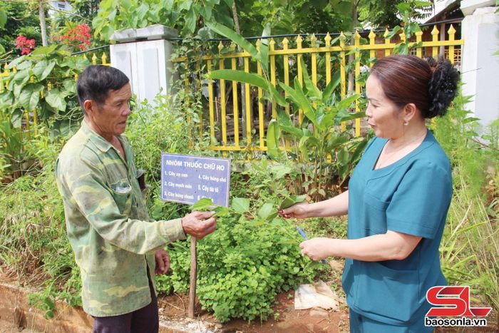 Cán bộ Trạm Y tế xã Mường Khiêng hướng dẫn nhân dân công dụng cây thuốc nam.