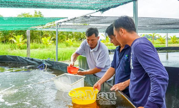  Khu vực ươm giống của HTX Ba Đình để cung cấp con giống cho các thành viên, từ đó nâng cao hiệu quả sản xuất.