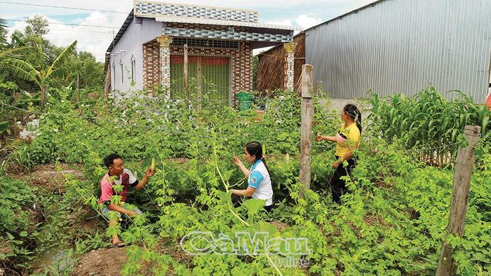 Nhờ sự quan tâm, hỗ trợ của Ðảng, Nhà nước về nguồn vốn, con giống phát triển kinh tế, hỗ trợ xóa nhà tạm... giúp đời sống đồng bào dân tộc vùng nông thôn ngày càng phát triển. (Ảnh chụp tại xã Thanh Tùng).