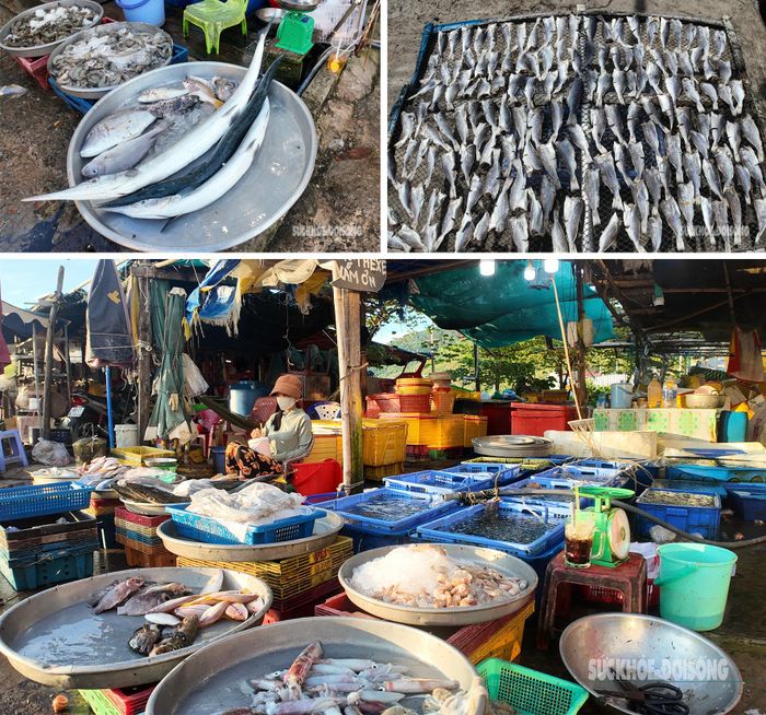 Chợ hải sản Nam Du nhộn nhịp từ tờ mờ sáng.
