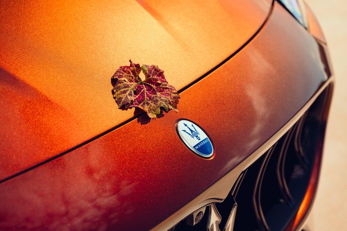 Phần đuôi xe Maserati Grecale Tributo Il Bruciato với cụm đèn hậu LED.