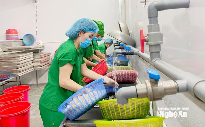 Hàng chục dòng sản phẩm ngũ cốc từ 25 loại hạt thiên nhiên từ đậu đen, đậu đỏ, đậu ngự... được nâng tầm bằng sản phẩm OCOP 3-4 sao chinh phục thị trường trong và ngoài nước. Ảnh: T.P
