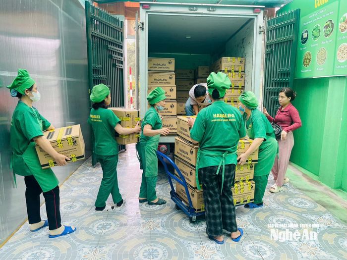 Thị trường mở rộng nhờ tư duy đổi mới, chuyển từ sản xuất nhỏ lẻ sang chế biến sâu, từ bán nông sản thô sang xây dựng thương hiệu và truy xuất nguồn gốc của những nữ doanh nhân khởi nghiệp bằng nông nghiệp xanh. Ảnh: T.P