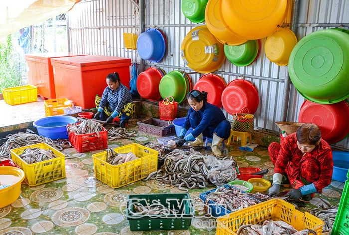 Hợp tác xã mực khô Kiều Nương 2 của chị Nguyễn Bích Tiền còn tạo việc làm cho hơn 20 lao động tại địa phương, đặc biệt là lao động nữ.