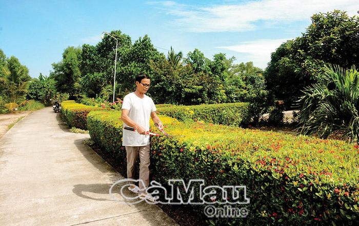 Người dân xã Ðầm Dơi tích cực trồng hàng rào cây xanh dọc các tuyến lộ, tạo mỹ quan nông thôn xanh - sạch - đẹp.