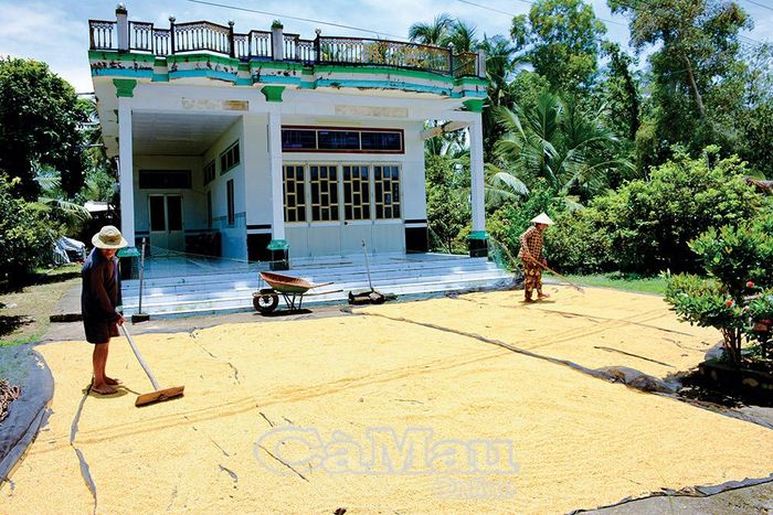 Chương trình đã góp phần đáng kể vào công tác giảm nghèo của tỉnh, giúp bà con có cuộc sống ấm no, hạnh phúc.