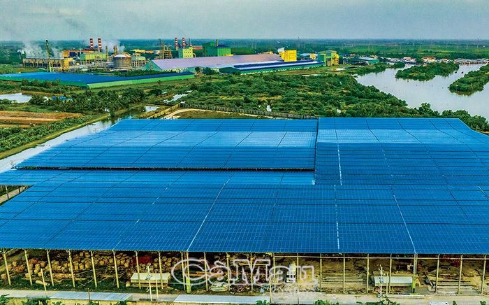 Toàn tỉnh có hơn 190 tổ chức, cá nhân lắp đặt hệ thống điện mặt trời mái nhà.