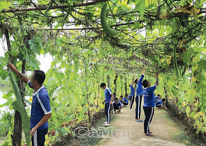 Các học viên lao động, thu hoạch mướp để cải thiện bữa ăn hàng ngày.