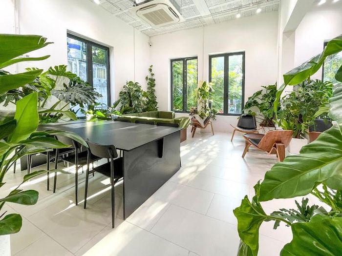 Không gian nội thất được thiết kế tối giản, ngập tràn ánh sáng và sự tĩnh lặng. Triết lý này cũng được áp dụng trong kỹ thuật rang siêu sáng (extremely light roast) để giữ trọn nốt hương tự nhiên của cà phê. Nguồn ảnh: XLIII Coffee
