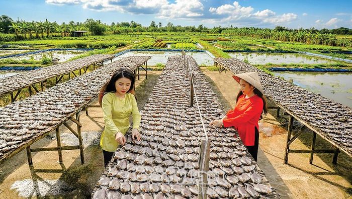 Sản phẩm thương hiệu Khô cá bổi U Minh. (Ảnh: HUỲNH LÂM)
