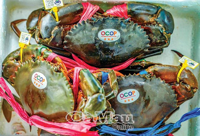 Thương hiệu Cua Năm Căn - Cà Mau. (Ảnh: HUỲNH LÂM)