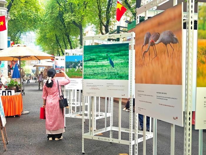 Triển lãm "Mong đợi ngày sếu trở về". Ảnh: Thanh Phong