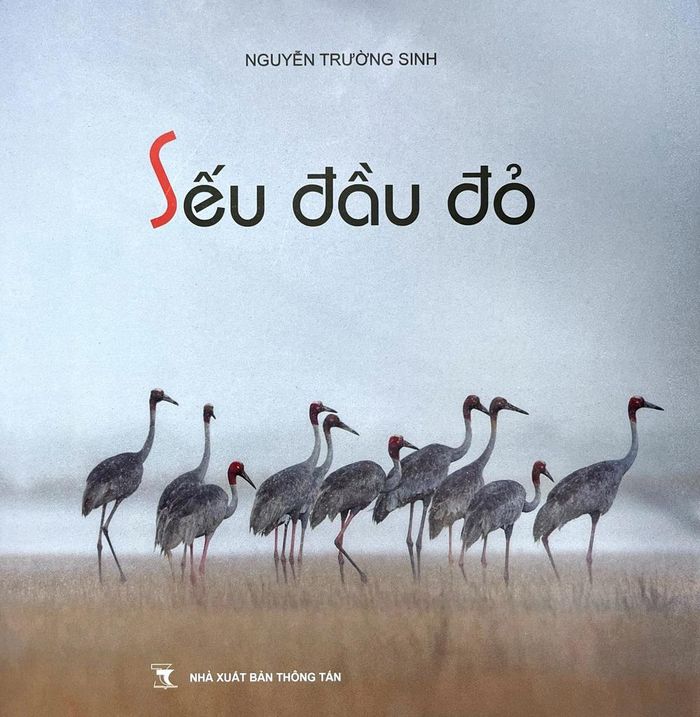 Sách ảnh "Sếu đầu đỏ" (NXB Thông tấn) của nghệ sĩ nhiếp ảnh Nguyễn Trường Sinh