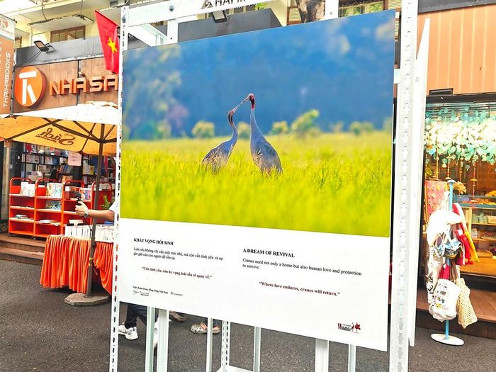 Tác phẩm được trưng bày tại đường sách. Ảnh: Thanh Phong