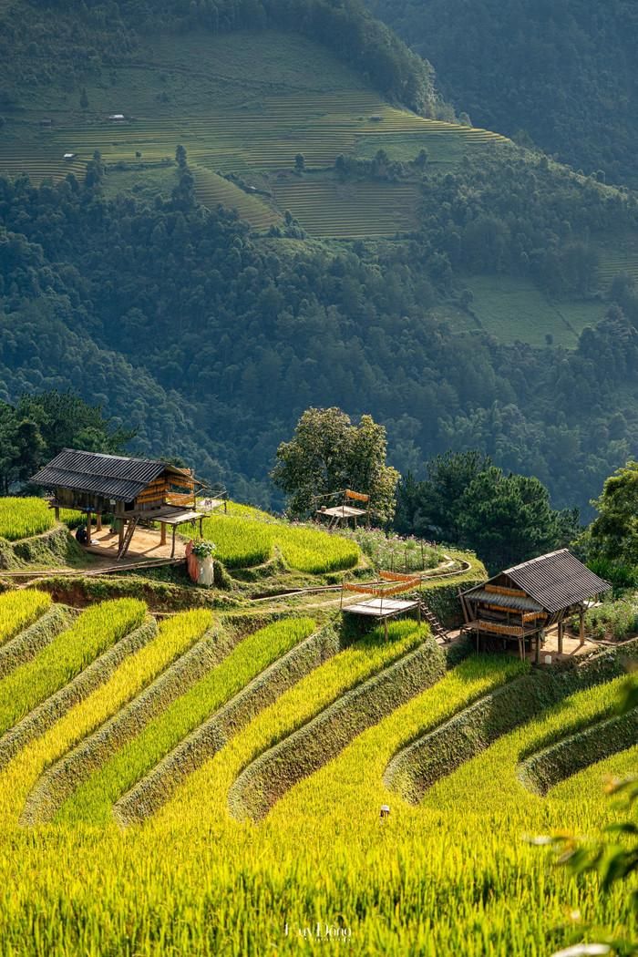 Căn nhà gỗ nằm chênh vênh giữa lưng đồi, nơi người dân dựng lên để phục vụ canh tác và trú chân. Ảnh: Đổng Nhật Huy