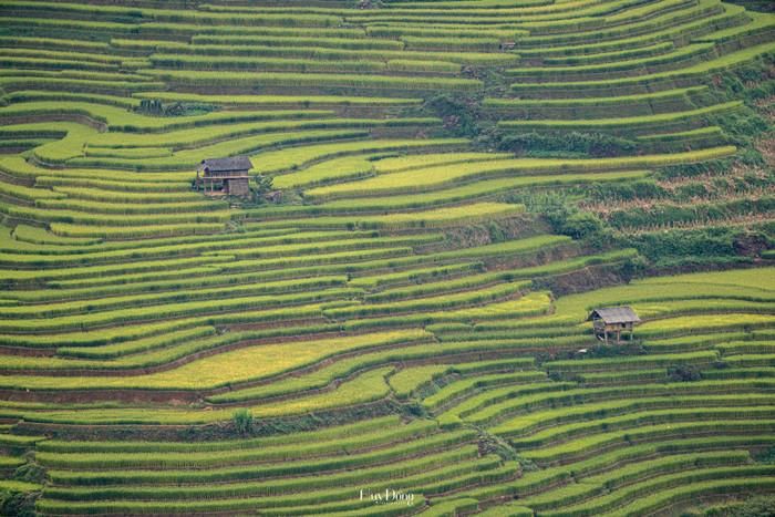 Căn nhà gỗ như một tác phẩm nghệ thuật điểm xuyết trên bức tranh thiên nhiên kỳ vĩ. Ảnh: Đổng Nhật Huy