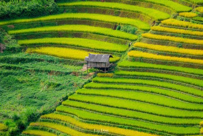 Kiến trúc đơn sơ hòa quyện hoàn hảo với thiên nhiên, tạo nên một tổng thể hài hòa và đẹp mắt. Ảnh: Đổng Nhật Huy