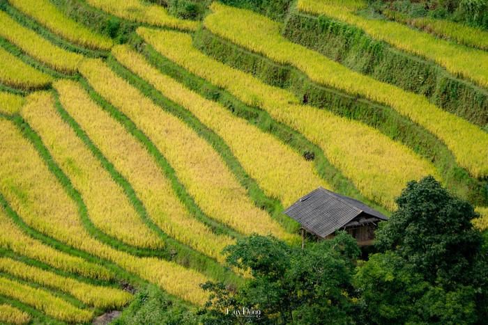 Khung cảnh thơ mộng với ngôi nhà gỗ nhỏ làm chủ đạo, tạo nên một bức tranh phong cảnh đậm chất thơ. Ảnh: Đổng Nhật Huy