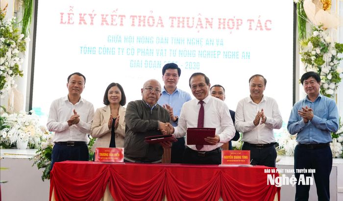 Theo kế hoạch, giai đoạn 2025 – 2030, chương trình phấn đấu cung ứng cho nông dân 80.000 – 90.000 tấn phân bón các loại. Ảnh: T.P