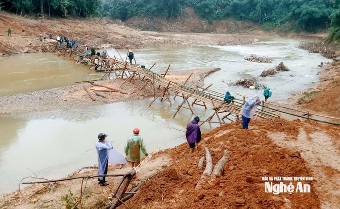 Xã Yên Hòa triển khai làm cầu tre cho người dân đi lại. Ảnh: P.V